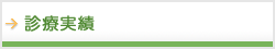 診療実績