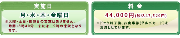 実施日＆料金