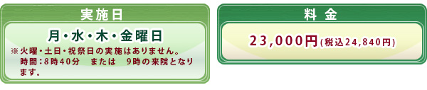 実施日＆料金