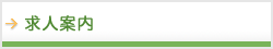 求人案内